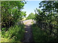Tees Railway Path at the Balder Viaduct in DL12 9ER