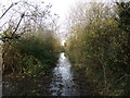 Flooded path near Keelby in DN41 8HN