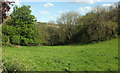 Meadow by the church, Tawstock in EX32 0DU