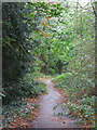 Path in woodland north of Carpenders Park Cemetery in WD19 5AD