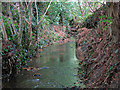 Hartsbourne Stream (2) in WD19 5AD