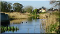 Lancaster Canal - View SW, NE of Bell Fold Bridge (No 35) in PR4 0TB