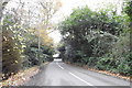 On Old House Road approaching The Causeway (A134) in CO6 4TJ