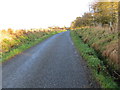 Minor road approaching Netherbrae in AB53 5SD