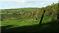 Grass field and farmland across the Venn Stream valley in EX32 0LW