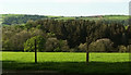 Wood near Hunnacott in EX32 0PA