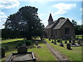 Yew Tree by St. Michael & All Angels Church (Castle Frome) in HR8 1HG