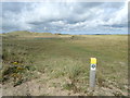 Coast Path sign on Tywyn Trewan Common in LL64 5QW