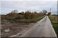 Sugar beet pile by Chequers Lane in West Winch