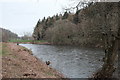 River Usk at Kemeys Commander in NP15 1JD