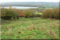 Grassland above Little Down Wood in BS41 8JH