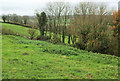 Trees below Castle Farm in BS41 8LU