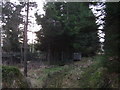 Pheasant-rearing pen in Craiglich Woods in AB31 4QQ
