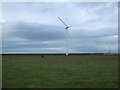 Coastal grazing and wind turbine near Siddick in CA14 1BQ
