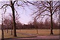 Grassy area and trees, Alexandra Park, Moss Side in M16 8JA