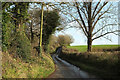 Lane past East Moore Cross in TQ9 7PE