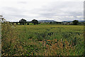 Herefordshire crop field near Lower Burton in HR6 9DJ