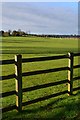 Fence and grass, roadside near Netherhampton in Netherhampton