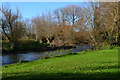 River Nadder near Ugford in SP2 0DX