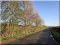 The road to Southwick near Vicarage Farm in Southwick