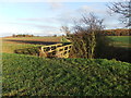 Footbridge over a deep drain near Bradley Wood in DN37 7EB