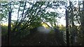 Disused bridge across the Swanwick-Bursledon railway and M27 in SO31 1BJ