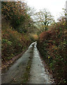 Lane from North Huish Cross in TQ9 7LU