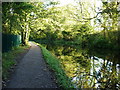 Worcester & Birmingham canal near Edgbaston in B15 3SR