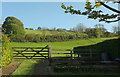 Sheep pasture, Swimbridge in EX32 0QB
