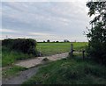 Entrance to field west of Wymeswold Road in Thorpe in the Glebe
