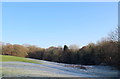 Frosty Pasture beside Preston New Road in PR5 0TY