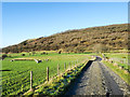 Farm access road for Wythop Hall in Wythop