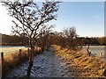 Frosty path near Woodside House in ML9 3BN