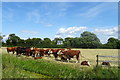 Cattle off Silver Moor Lane in BS29 6LA