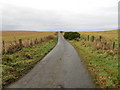 Fence-lined minor road at Denedoch in AB43 6LQ