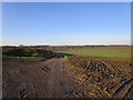 Muddy bridleway in Stoke Doyle