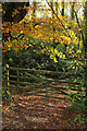 Gate by Tennacott Lane in EX39 4QD
