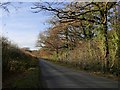 Minor road near Whitehouse Farm, early December in RG27 9FR