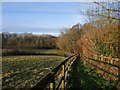 Footpath leading north from Poplars Farm in RG27 9BH