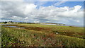 View across Pegwell Bay towards Ramsgate from Pegwell Bay Country Park in Cliffsend