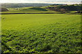 Farmland near Bradavin in EX39 4PA