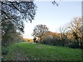 Farmland north of Lyde Green Farm in RG27 9BU