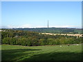 Grazing and woodland near Wheatley Hill Farm in HD8 9LG