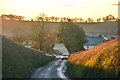 Halberton : Country Road in EX15 1LX