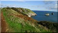 On coast path above Durl Head, Brixham - view to Mew Stone & Cod Rock in TQ5 9ET
