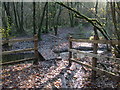 Footbridge in Boddenham's Coppice in BA4 4LG