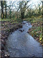 A full stream in Boddenham's Coppice in BA4 4LG