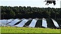 Solar Farm at Hazel Gap, Notts in NG22 9EY