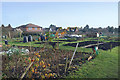 Allotments, Chequers Lane in HP16 9DF