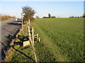 Footpath from Wigmore Lane across fields to Sandwich Road in CT15 4DH